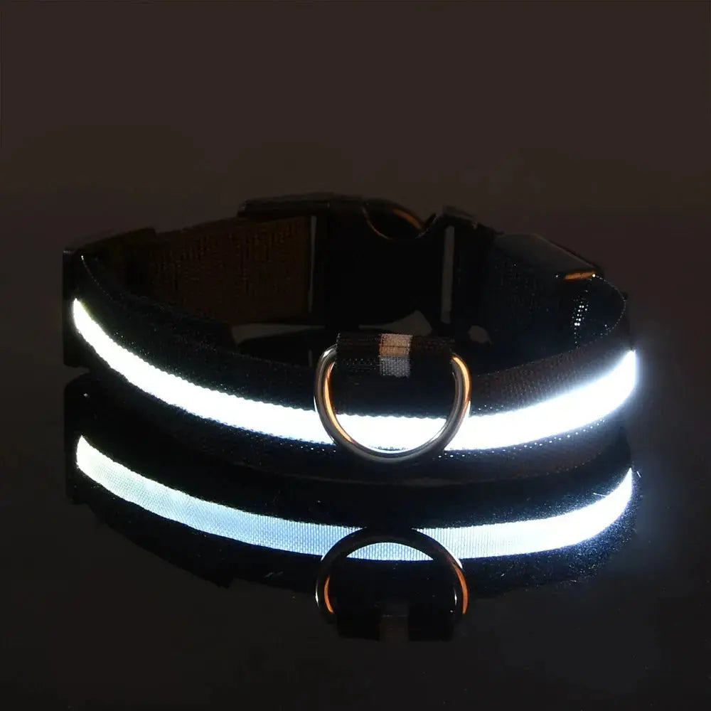 Leuchtende LED-Hundeleine für bessere Sichtbarkeit Petoria