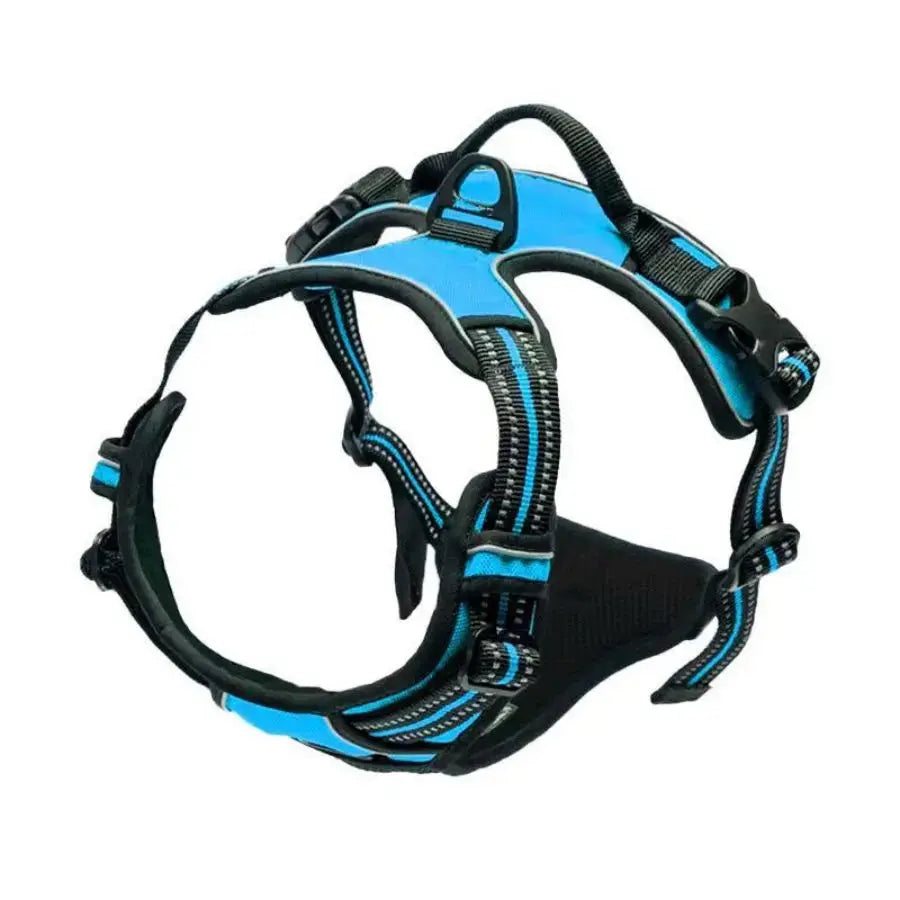 Reflektierendes Anti-Zug-Hundegeschirr mit Frontclip Petoria