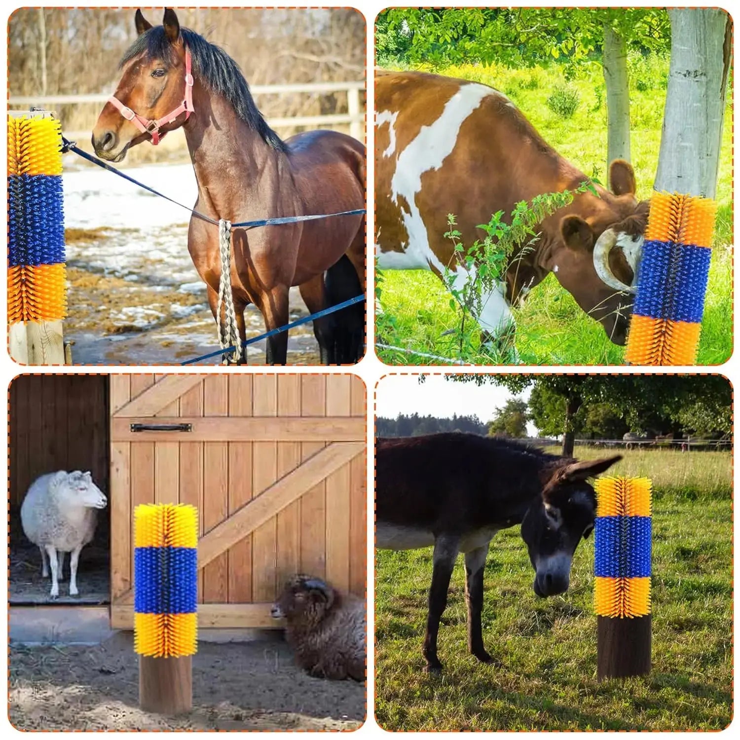 Kratzbürsten-Set für Pferde und Nutztiere Petoria