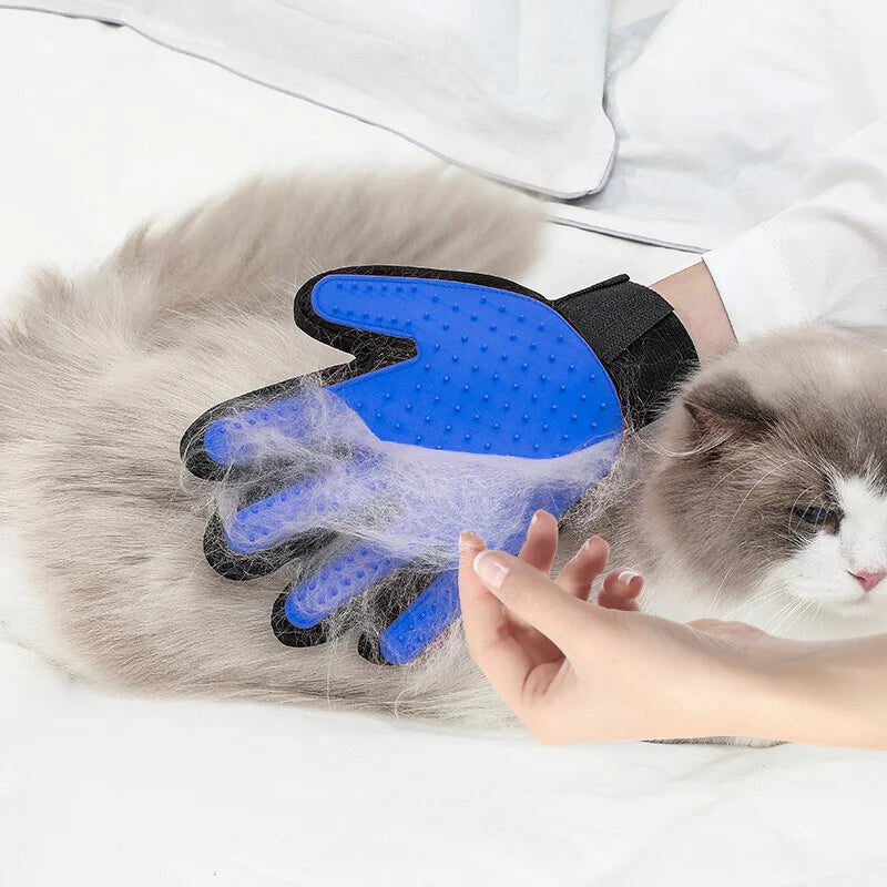 Tierpflegehandschuh für Katzen