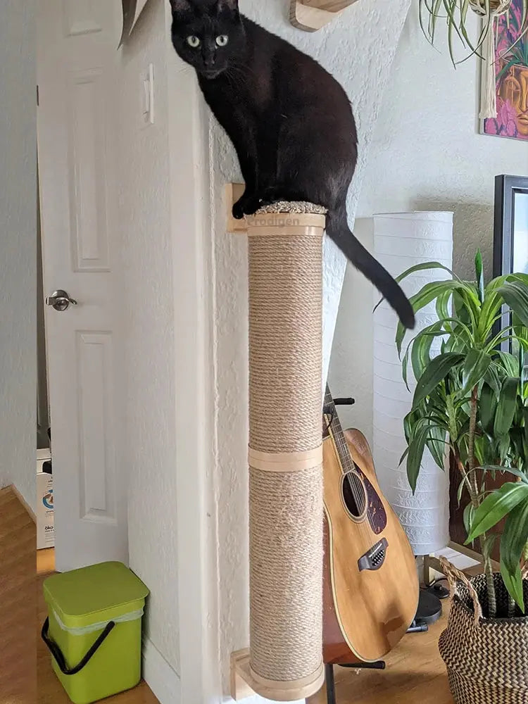 Kratzbaum für Katzen Petoria