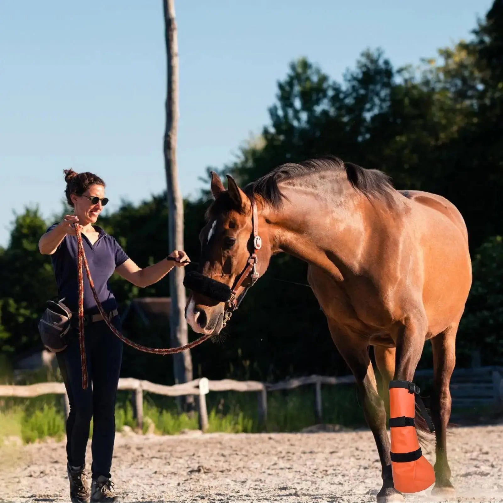 Premium Pferde Huf Einweichstiefel Petoria