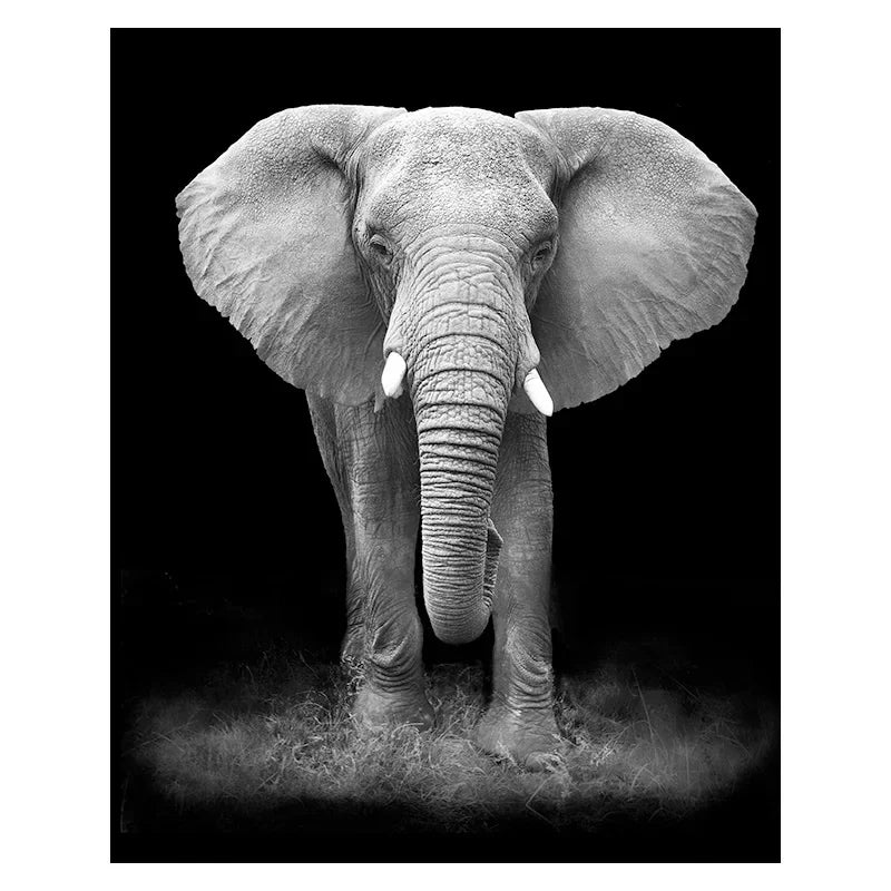 Canvas Painting Animal Wall Art Lion Elephant Deer Zebra Posters and Prints Wall Pictures for Living Room Decoration Home Decor Petoria Store