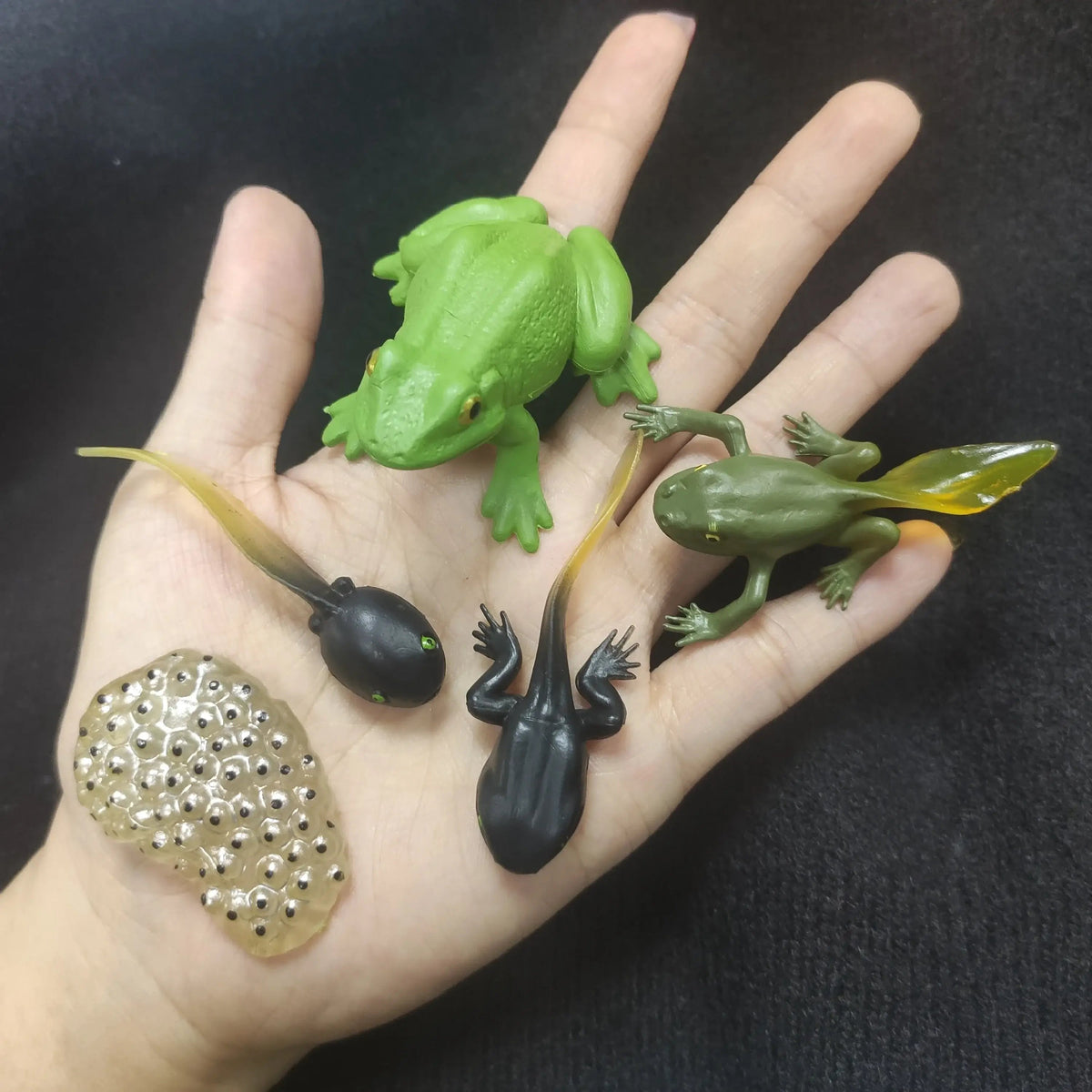 🐸 Petoria™ Tier-Lebenszyklus Lernset Petoria