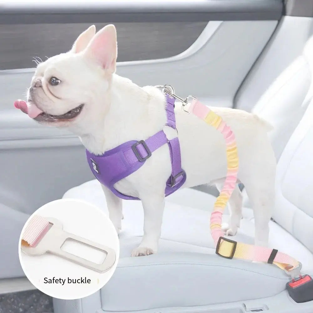 🐾 Petoria® Elastischer Autosicherheitsgurt für Hunde & Katzen – Stoßdämpfender Sicherheitsgurt Petoria