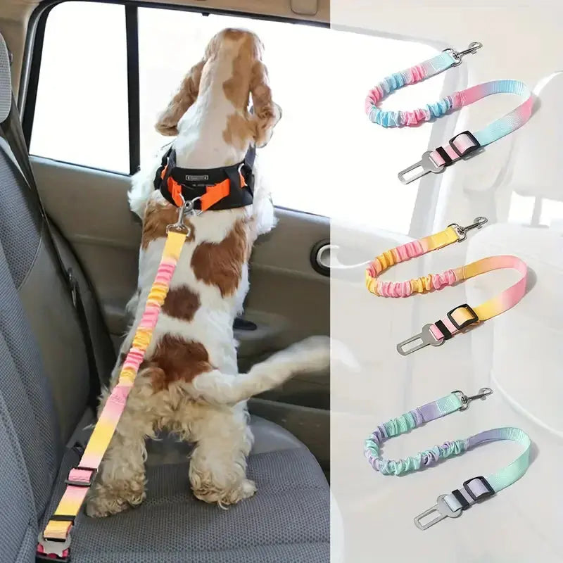 🐾 Petoria® Elastischer Autosicherheitsgurt für Hunde & Katzen – Stoßdämpfender Sicherheitsgurt Petoria