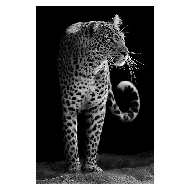 Canvas Painting Animal Wall Art Lion Elephant Deer Zebra Posters and Prints Wall Pictures for Living Room Decoration Home Decor Petoria Store
