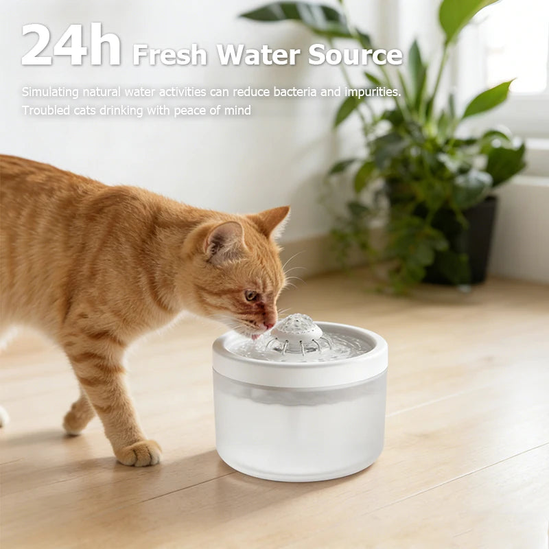 Automatischer Katzenwasserspender Premium
