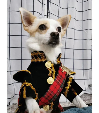 👑 Petoria™ Royal Hundeanzug