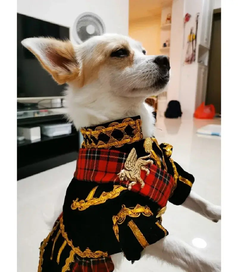 👑 Petoria™ Royal Hundeanzug