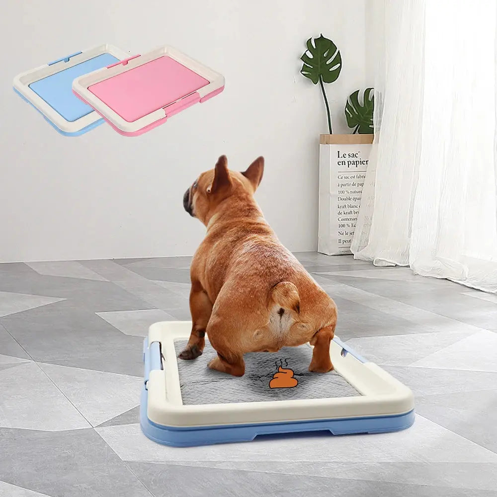 Premium Haustier Trainingstoilette für Hunde und Katzen Petoria