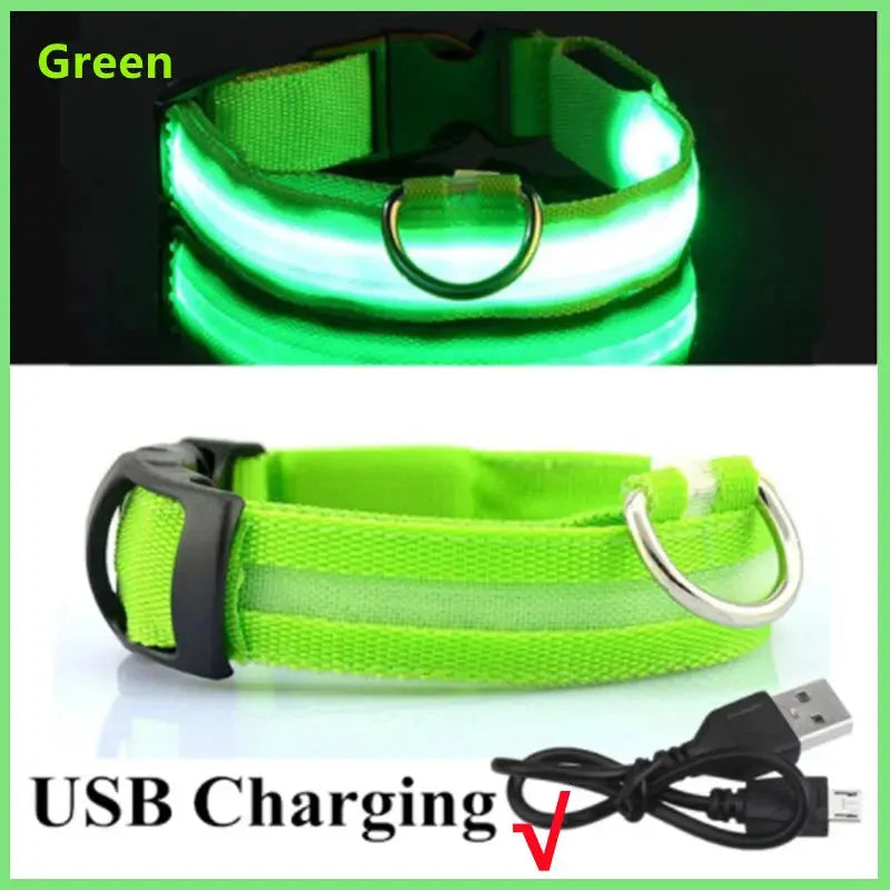 USB-aufladbares LED-Leuchthalsband für Hunde und Katzen Petoria