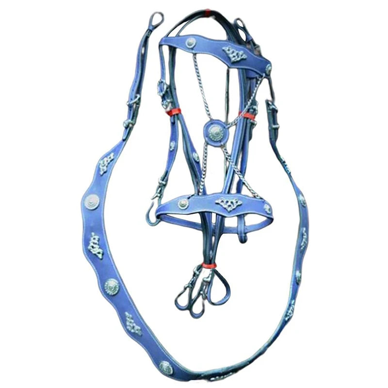 Pferde halfter und Bleis eile pu Leder halfter und Bleis eile ergonomisch bequeme une inges chränkte Halfter mit Metalls chnalle