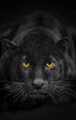 Canvas Painting Animal Art Black Panther Feline Wildlife Posters and Prints Wall Art Picture for Living Room Home Decor Cuadros Petoria Store