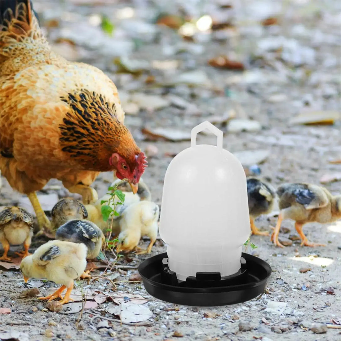 Automatische Geflügeltränke für Hühner, Enten und Gänse Petoria