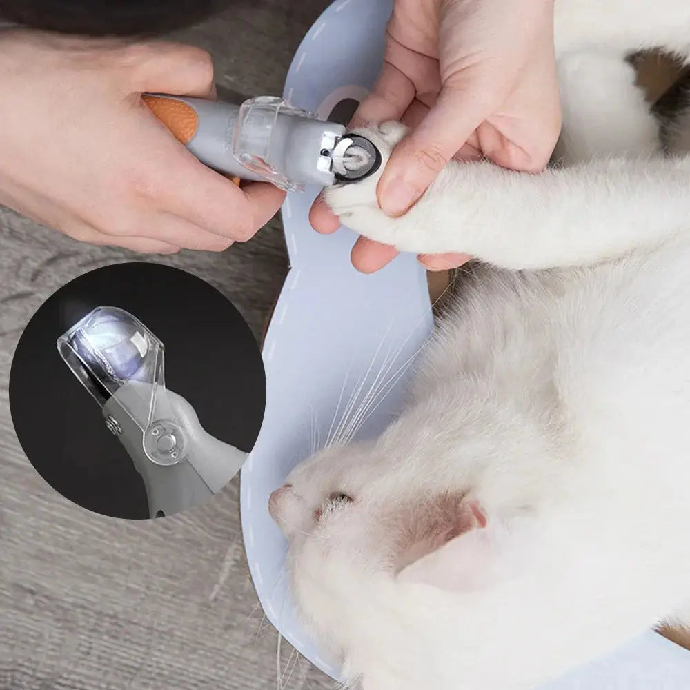 Krallenschere für Hunde und Katzen mit LED-Licht Petoria
