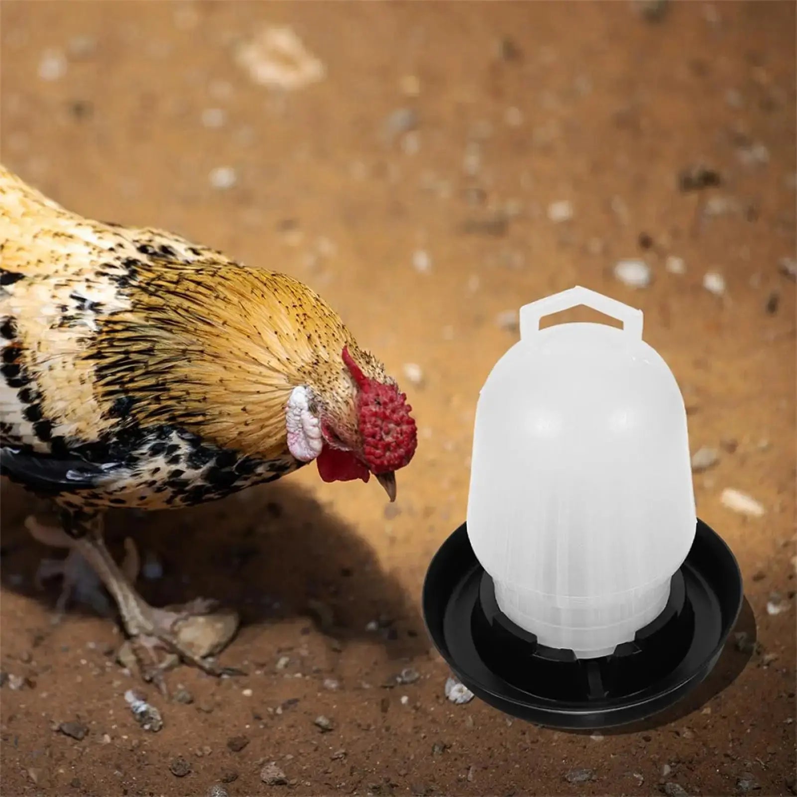 Automatische Geflügeltränke für Hühner, Enten und Gänse Petoria