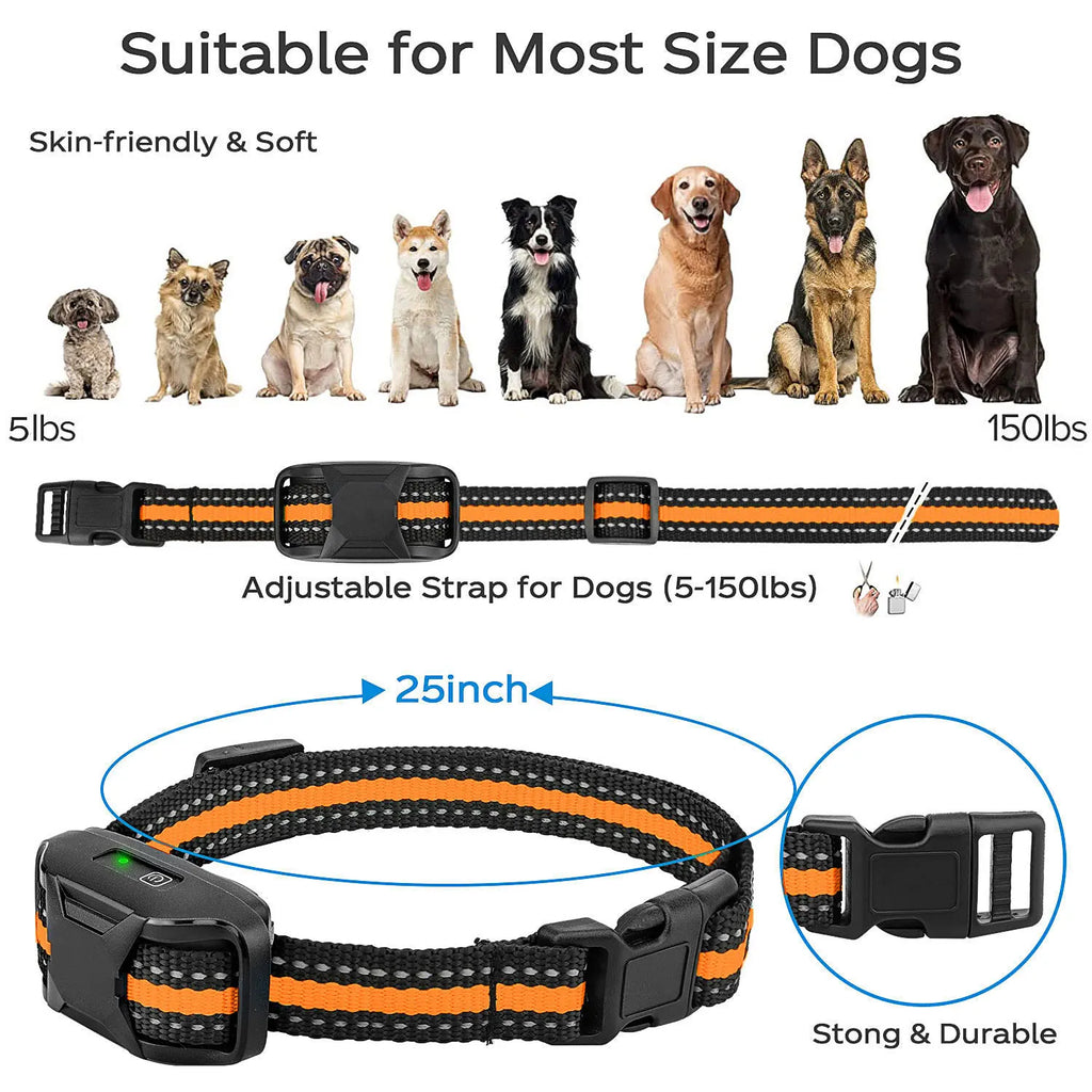 3300 Fuß elektrisches Hundetrainingshalsband mit Fernbedienung, wasserdichtes Haustierverhalten für 5–120 lbs Welpen mit Stoßvibration