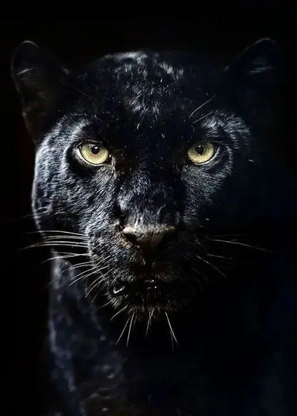 Canvas Painting Animal Art Black Panther Feline Wildlife Posters and Prints Wall Art Picture for Living Room Home Decor Cuadros Petoria Store
