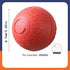 USB-aufladbarer interaktiver Spielball für Hunde Petoria
