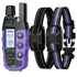 Hundetrainingshalsband mit Fernbedienung Petoria