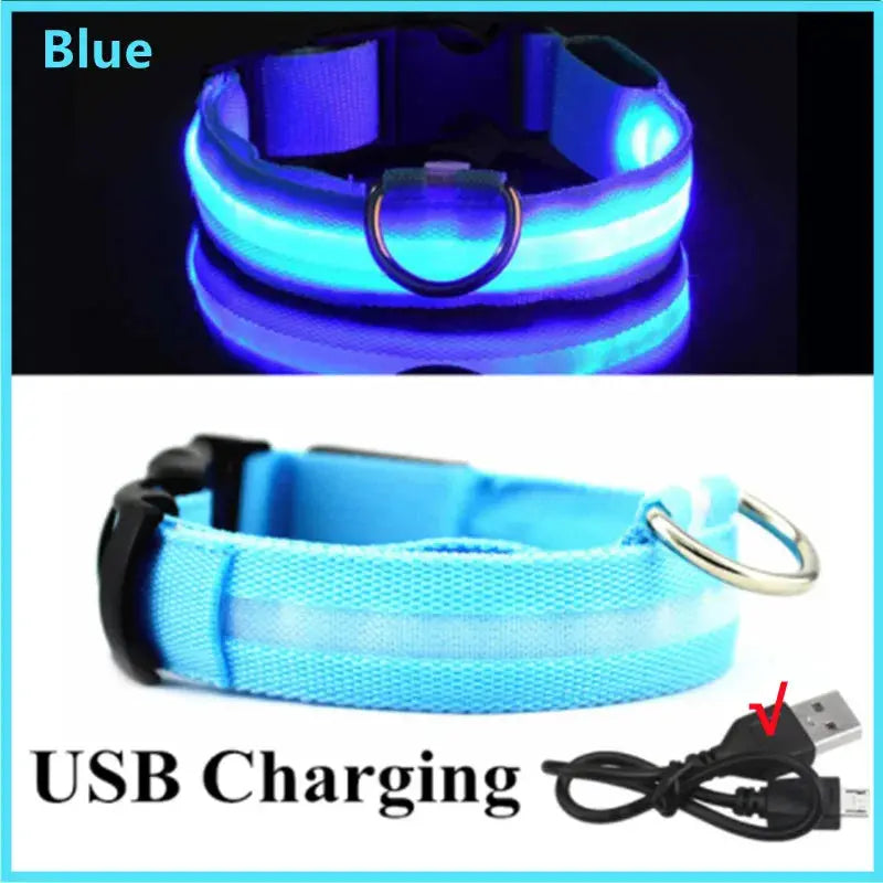 USB-aufladbares LED-Leuchthalsband für Hunde und Katzen Petoria