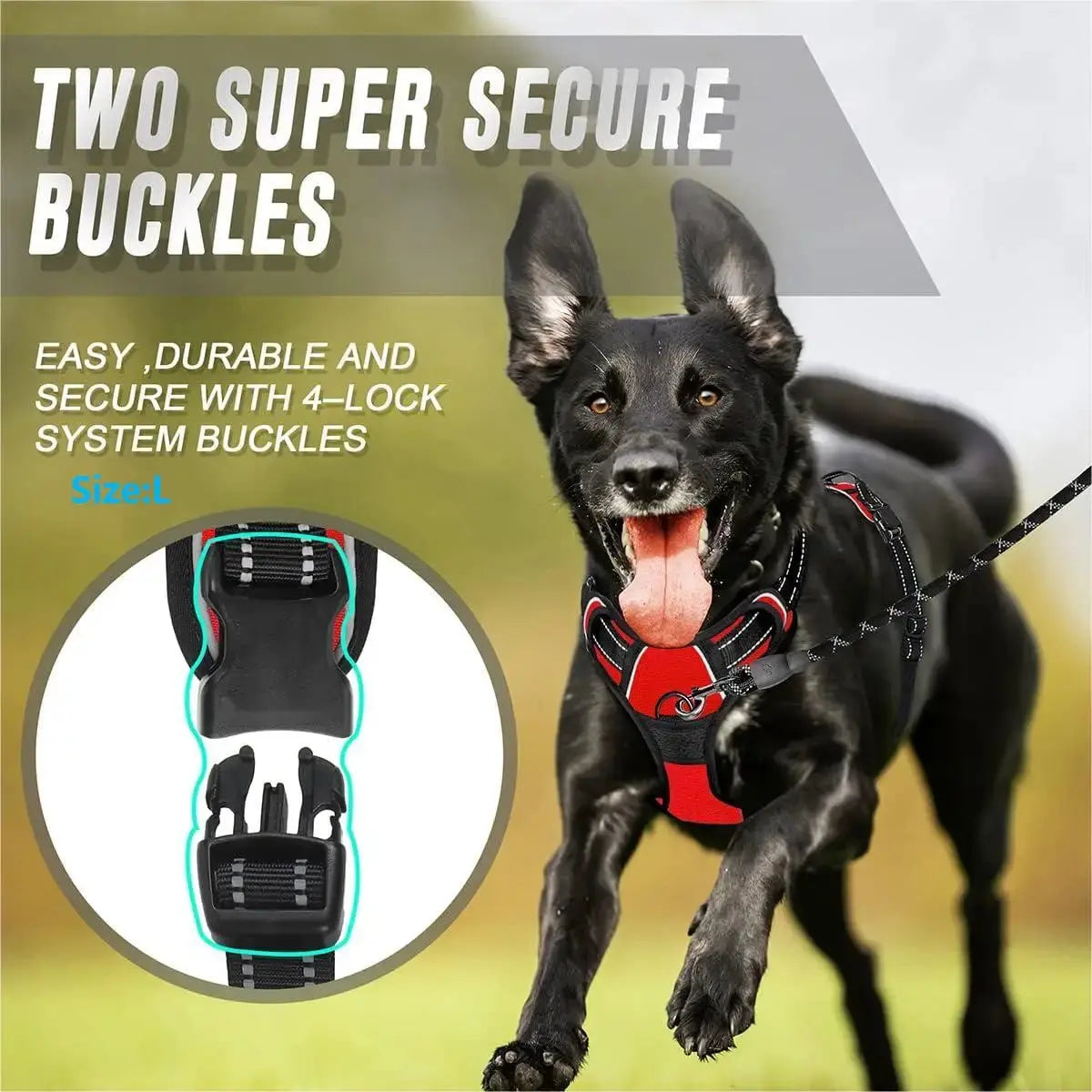 Reflektierendes Anti-Zug-Hundegeschirr mit Frontclip Petoria