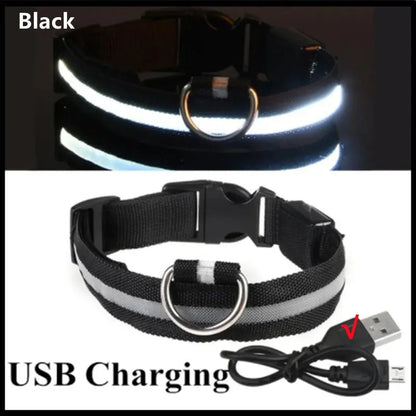 USB-aufladbares LED-Leuchthalsband für Hunde und Katzen Petoria