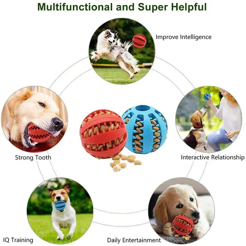 Bissfester Spiel- und Zahnpflegeball für Hunde Petoria