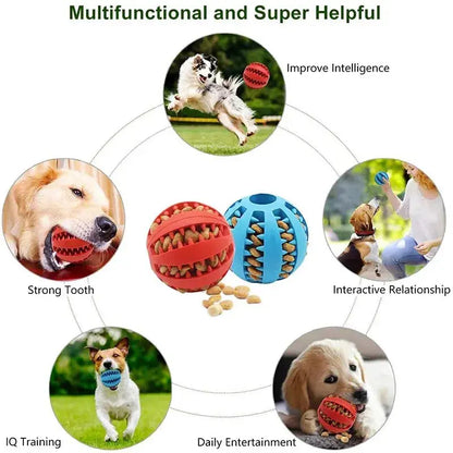 Bissfester Spiel- und Zahnpflegeball für Hunde Petoria