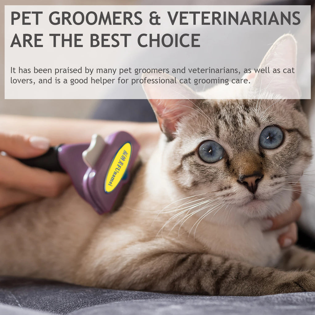 Hund Pinsel Pflege Zubehör Tierhaar Knoten Entferner Große Hunde Katze Kurze Lange Haare Anti Läuse Kämme Katze Haarpflege Liefert