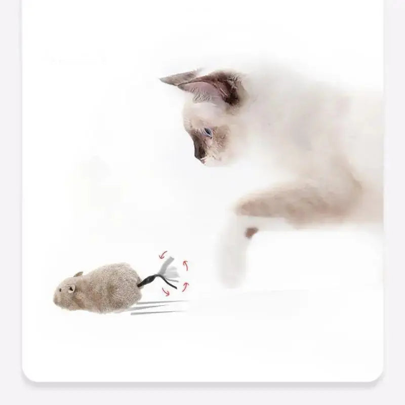 Plüschmaus für Hunde und Katzen Petoria