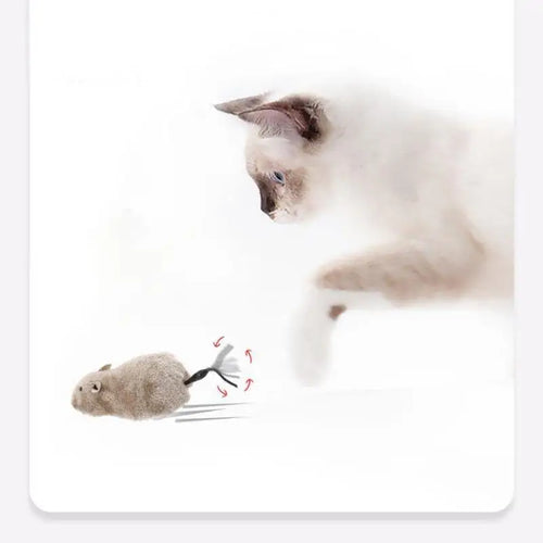 1 Stück lustige lebensechte Plüsch-Maus, laufendes Ratten-Spielzeug für Katzen, Hunde, Schwanz, Maus, Haustiere, Kinder, zufällige Farbe