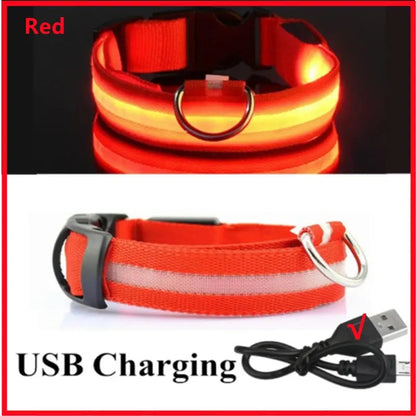 USB-aufladbares LED-Leuchthalsband für Hunde und Katzen Petoria