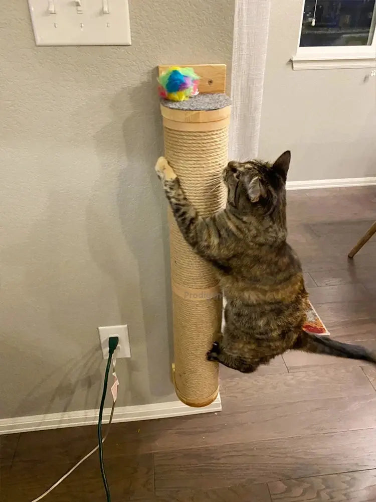 Kratzbaum für Katzen Petoria