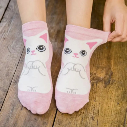 Katzen Socken Set