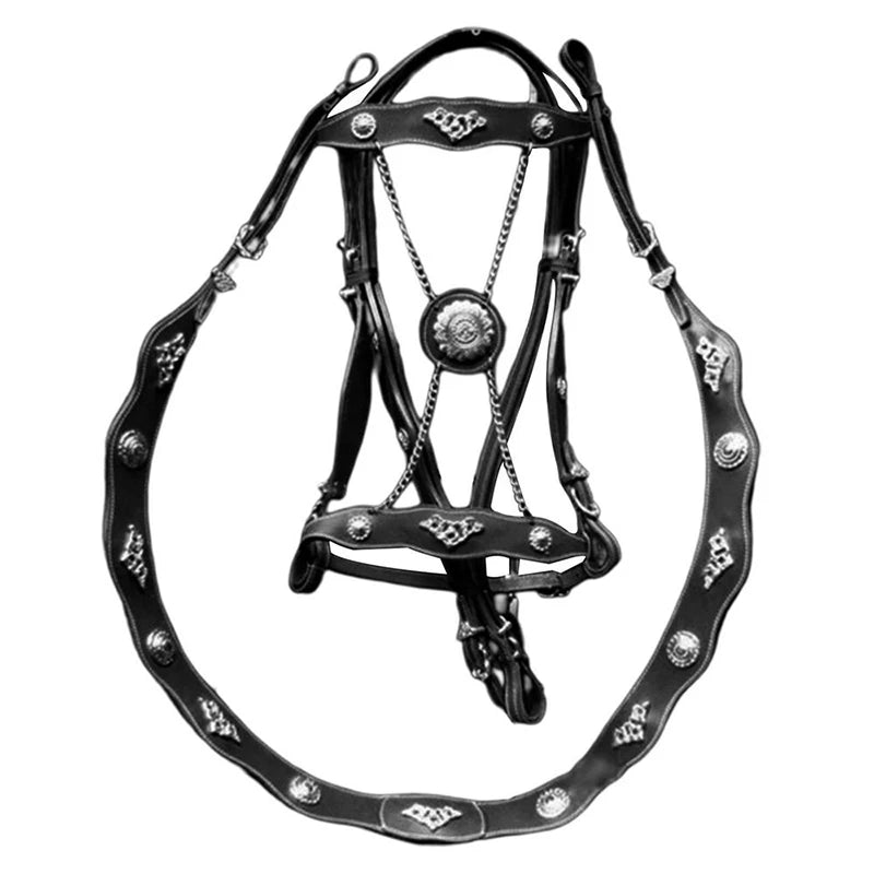 Pferde halfter und Bleis eile pu Leder halfter und Bleis eile ergonomisch bequeme une inges chränkte Halfter mit Metalls chnalle