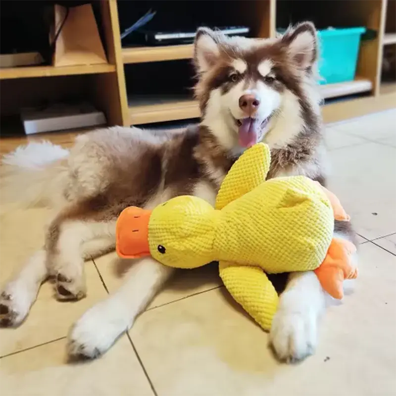 Interaktives Enten-Plüschspielzeug für Hunde Petoria