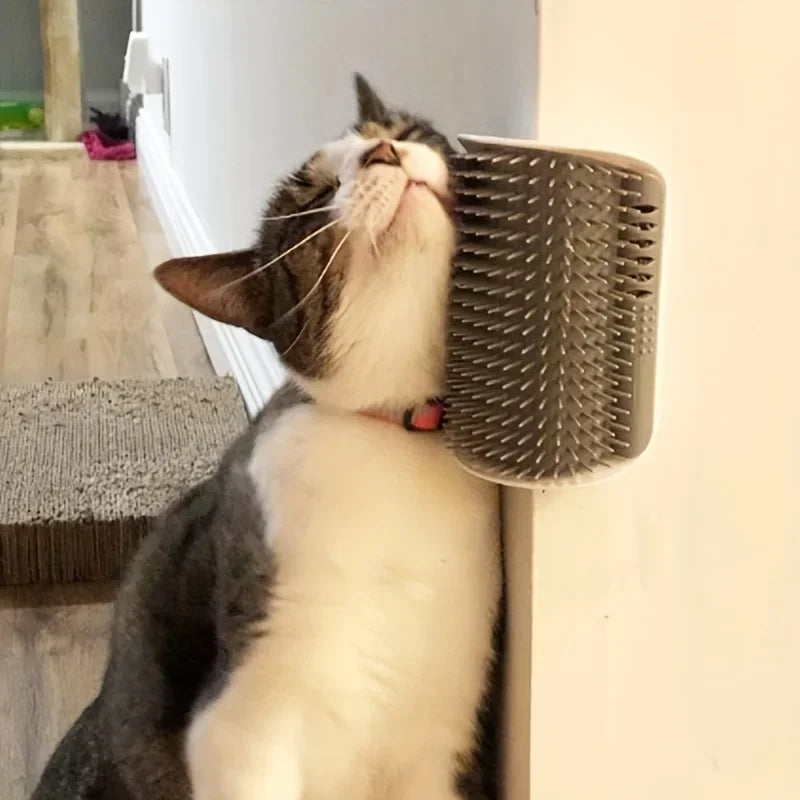 Katzen-Selbstpflegegerät mit Massagebürste