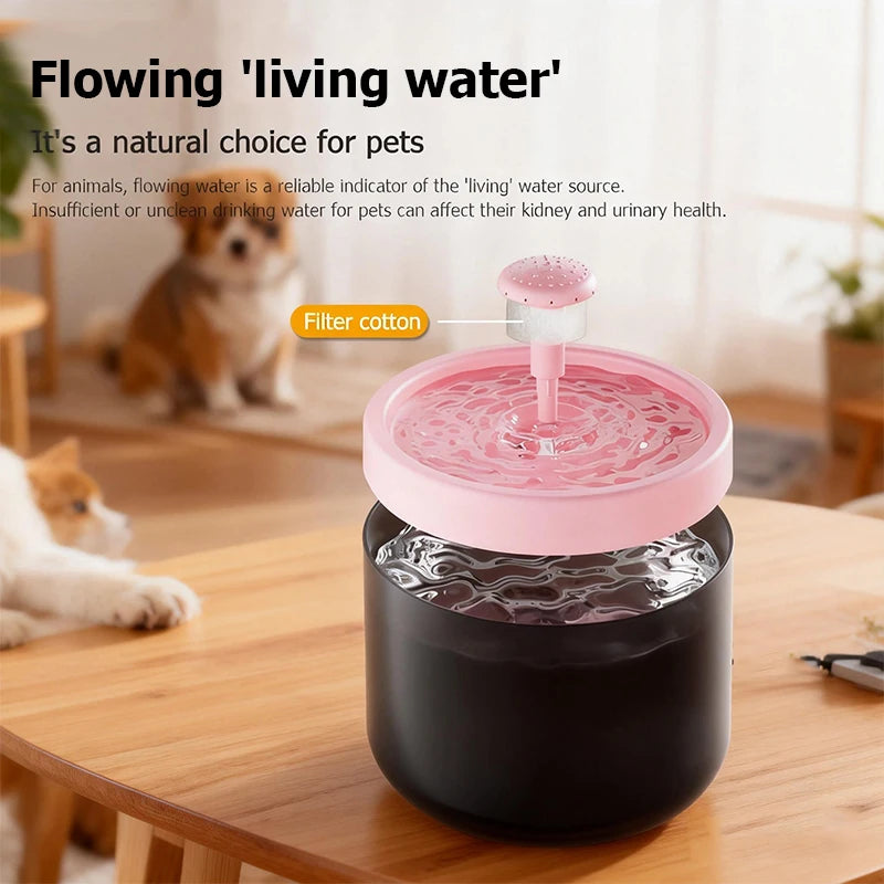Automatischer Katzenwasserspender Premium