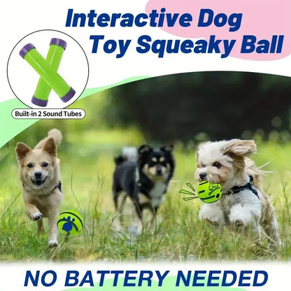 Interaktiver Giggle-Ball für Hunde Petoria