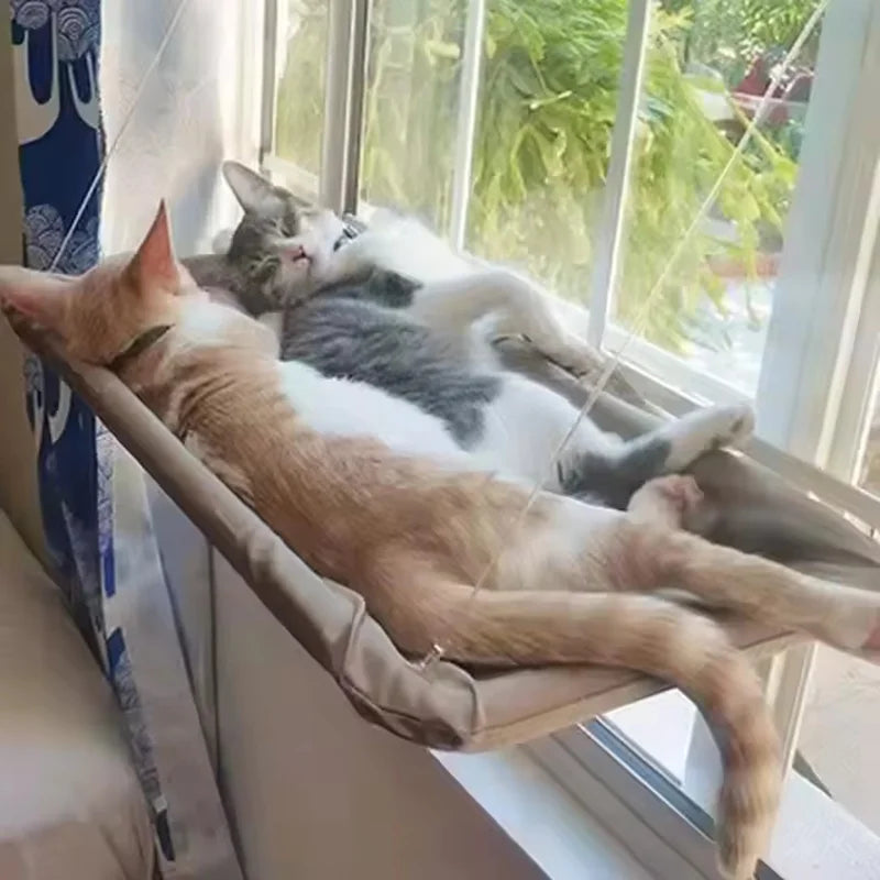 Katzenbett mit Saugnapf