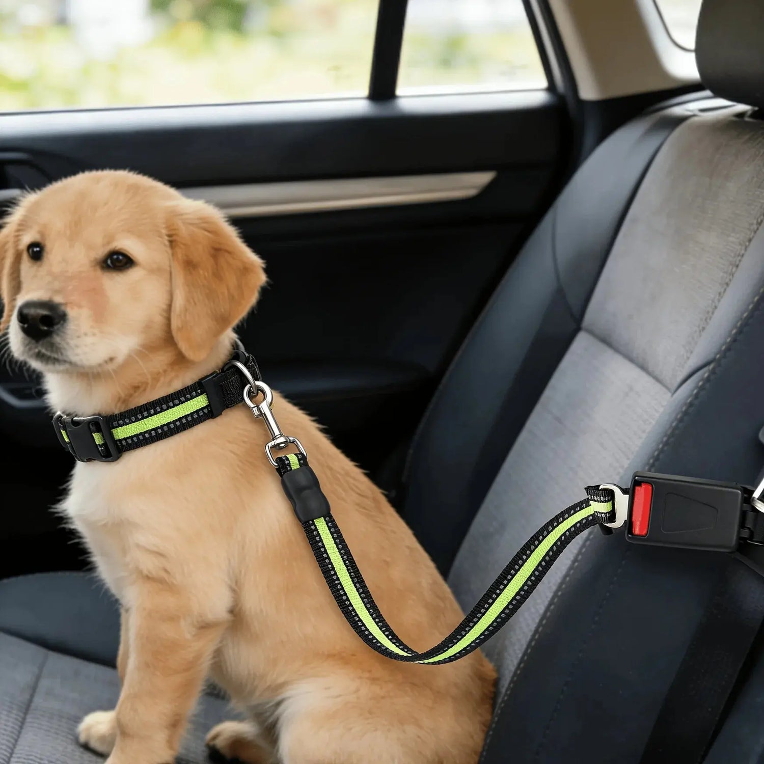 🐾 Petoria® Premium Autosicherheitsgurt für Hunde &amp; Katzen – Verstellbarer Sicherheitsgurt fürs Auto Petoria