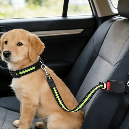 🐾 Petoria® Premium Autosicherheitsgurt für Hunde &amp; Katzen – Verstellbarer Sicherheitsgurt fürs Auto Petoria