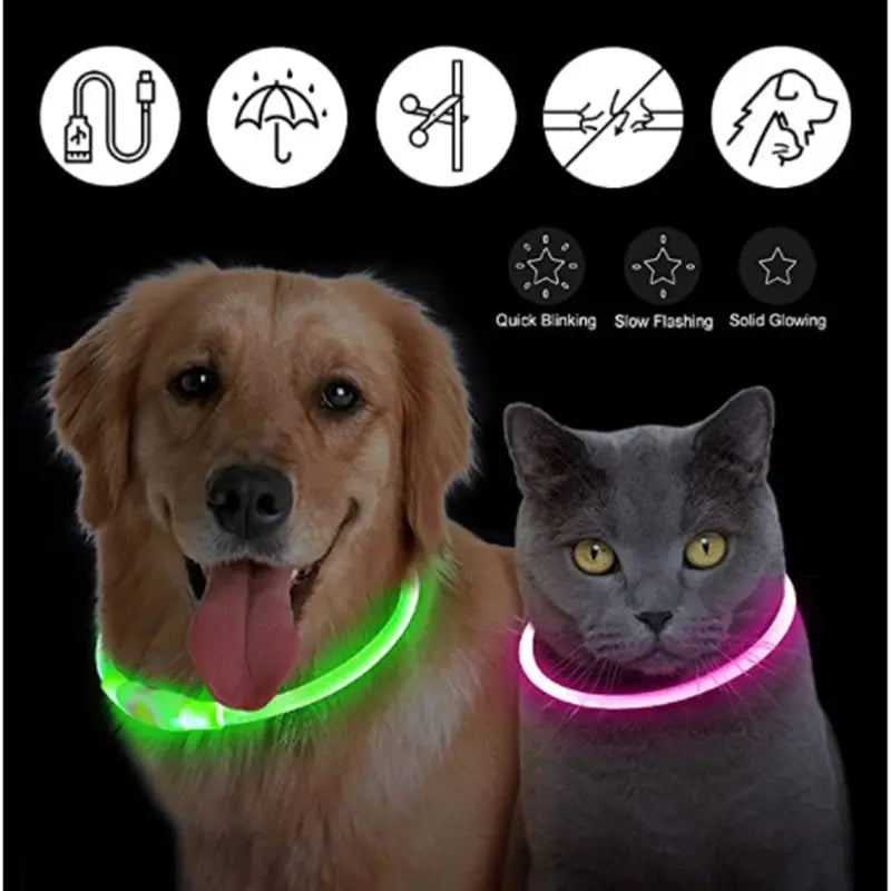 USB-aufladbares LED-Leuchthalsband für Hunde und Katzen Petoria