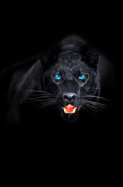 Canvas Painting Animal Art Black Panther Feline Wildlife Posters and Prints Wall Art Picture for Living Room Home Decor Cuadros Petoria Store