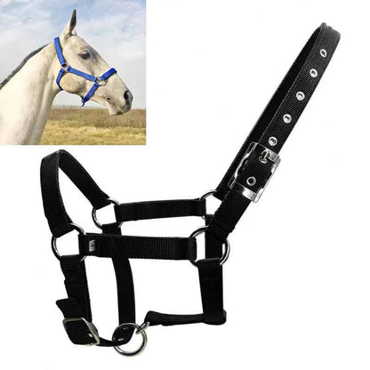 Pferdehalfter aus Nylon für Reitsport
