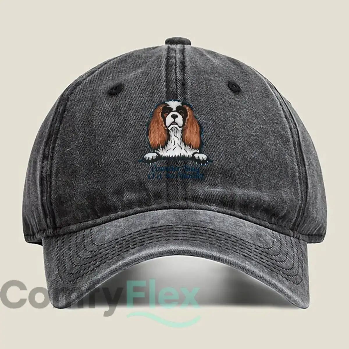 Cavalier King Charles Baseballkappe – Vintage Unisex Cap