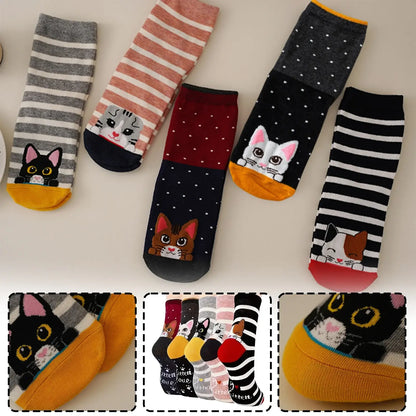 Katzen Baumwollsocken Set