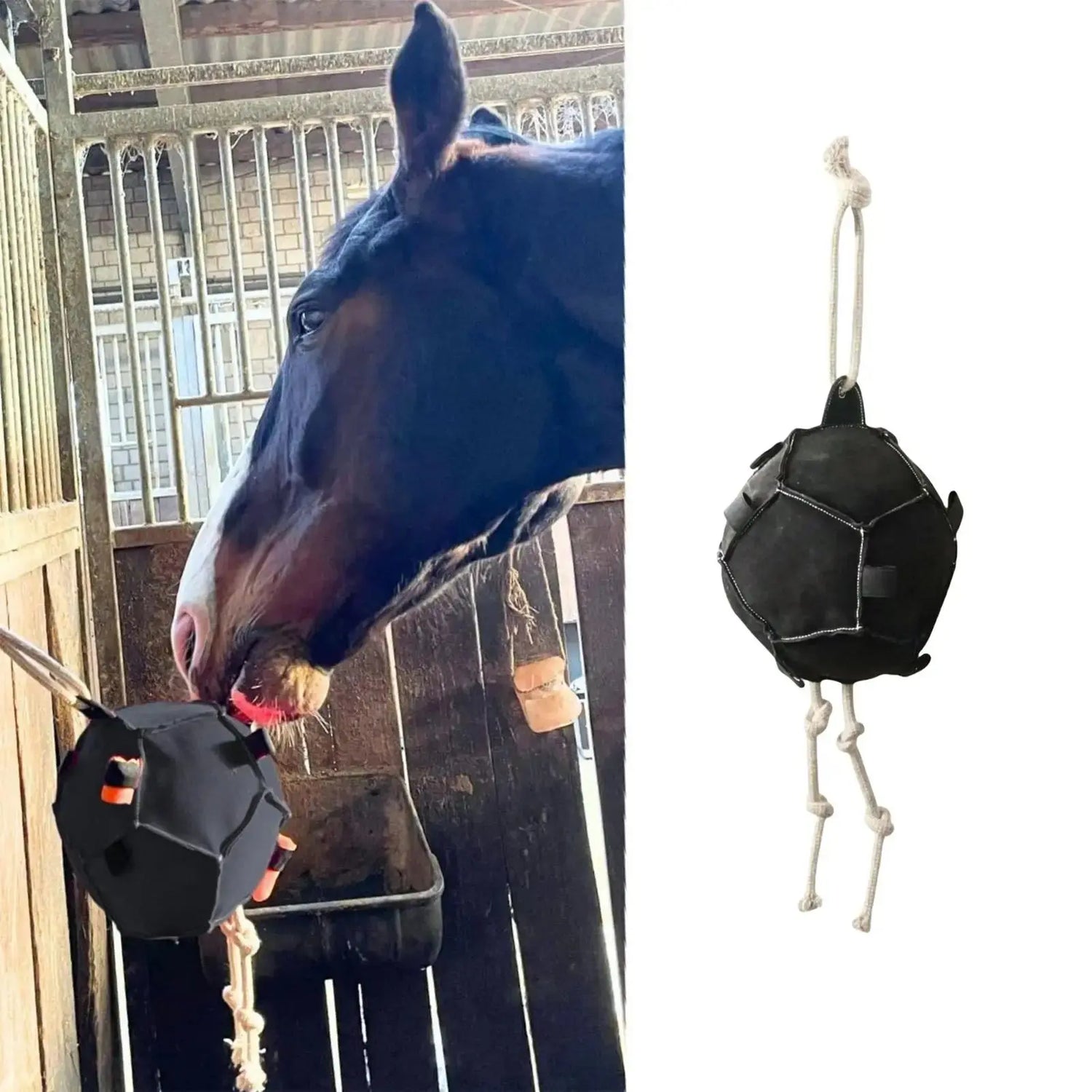 Deluxe Pferde Futterball Petoria
